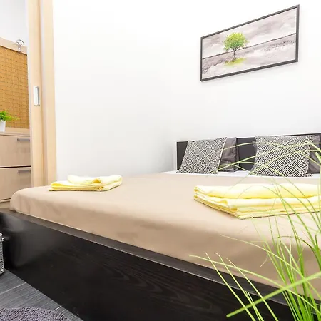 Real Zoltan Ii. Appartement